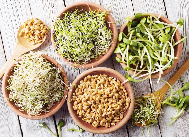 مهم‌ترین خواص جوانه تخم شلغم