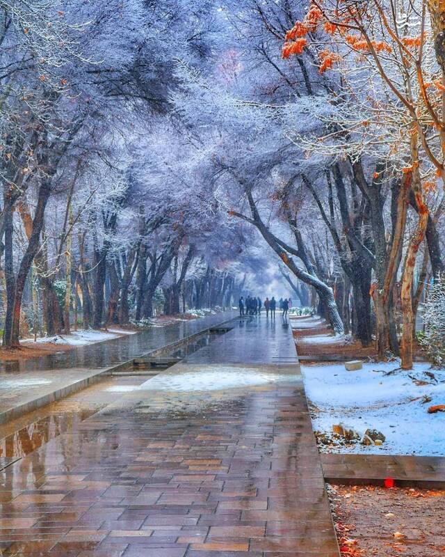 منظره‌ زیبایی از خیابان چهار باغ اصفهان + عکس