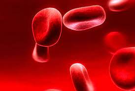 اینفوگرافیک| علائم فقر آهن