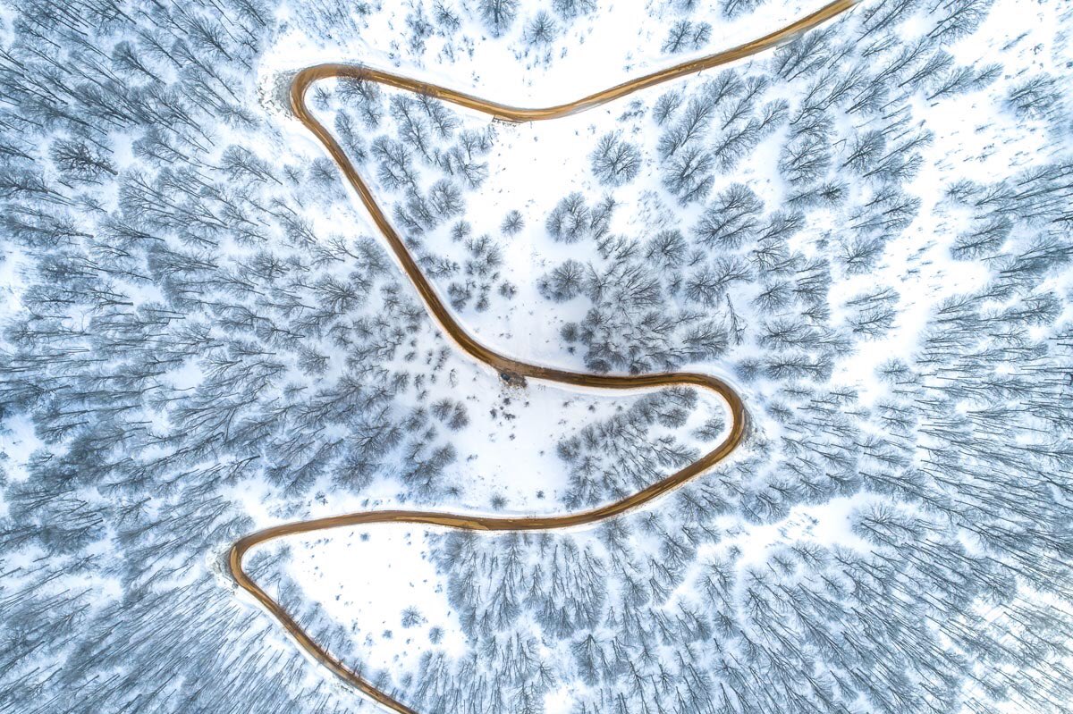 نمای هوایی از جاده زیبا وسط جنگل برفی + عکس