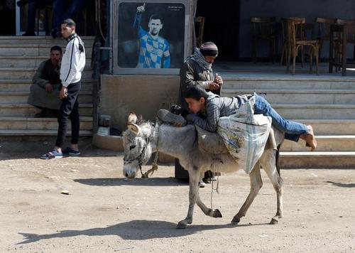 الاغ سواری یک نوجوان مصری در روستایی در نزدیکی قاهره + عکس