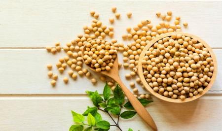 چهار فایده مصرف سویا که نمی‌دانید