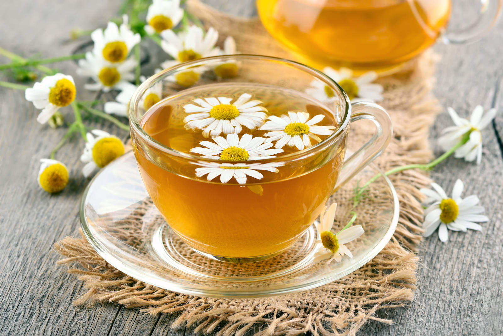 چای و دم‌نوش‌های مفید برای کسانی که رژیم لاغری دارند