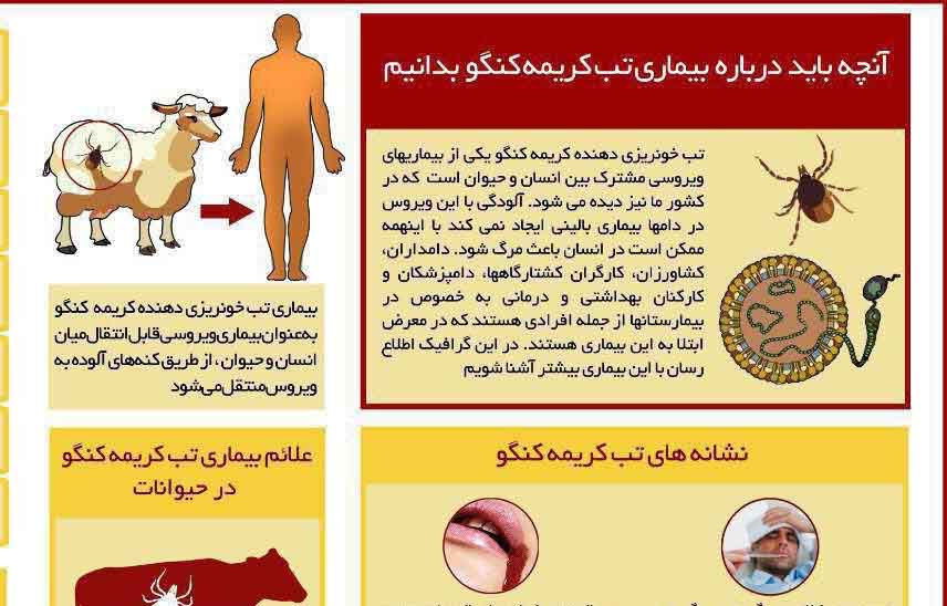 علائم بیماری تب کریمه کنگو را سرسری نگیرید /اینفوگرافیک
