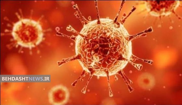 همه چیز درباره تب خونریزی دهنده ویروسی کریمه کنگو (CCHF) 