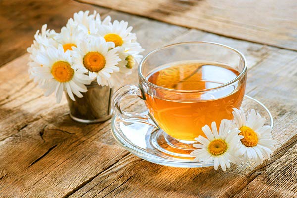 دمنوش گیاهی ضد عفونت ادراری را بشناسید