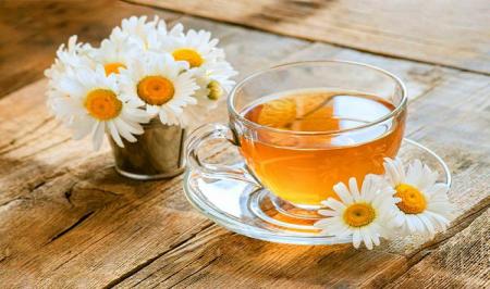 دمنوش گیاهی ضد عفونت ادراری را بشناسید