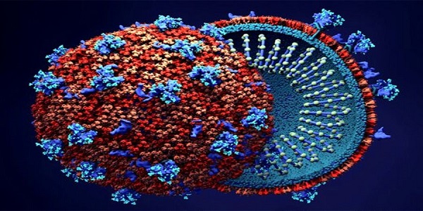 مهم ترین راهکارهایی که امیکرون را زمین گیر می کند 