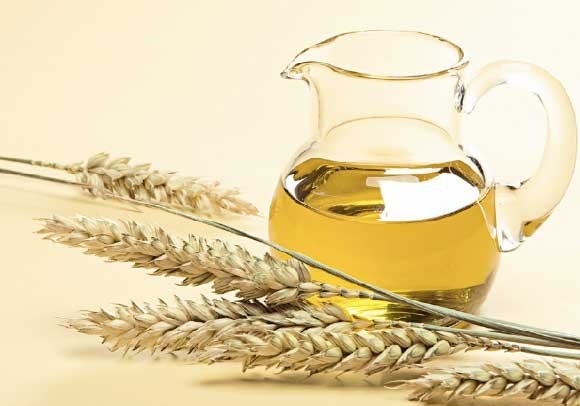 فواید روغن جوانه گندم برای موها