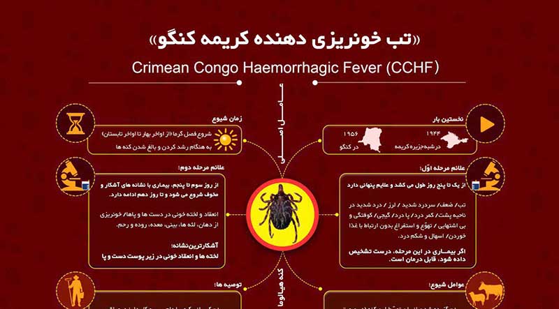 علائم بیماری تب کریمه کنگو را جدی بگیرید /اینفوگرافیک