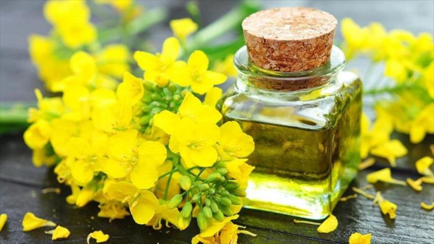 روغن کانولا به لاغری شکمی کمک می کند