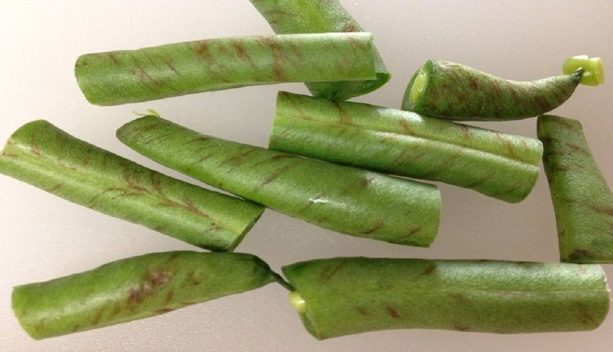 باید یا نباید مصرف لوبیا سبز دارای لکه‌های قهوه‌ای