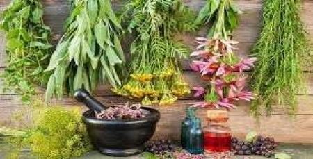 گیاهانی برای تقویت اعصاب