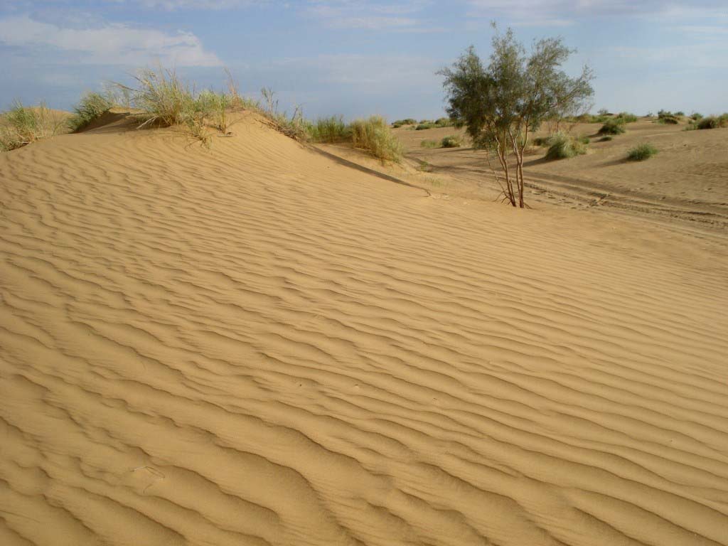 اینفوگرافیک| خطر بیابانی شدن در کمین ایران