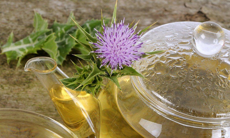 نسخه‌ای که طب سنتی برای کبد می‌پیچد