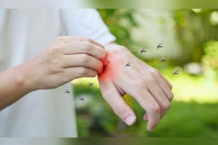 پشه ها افرادی بااین گروه خونی را بیشتر نیش می زنند