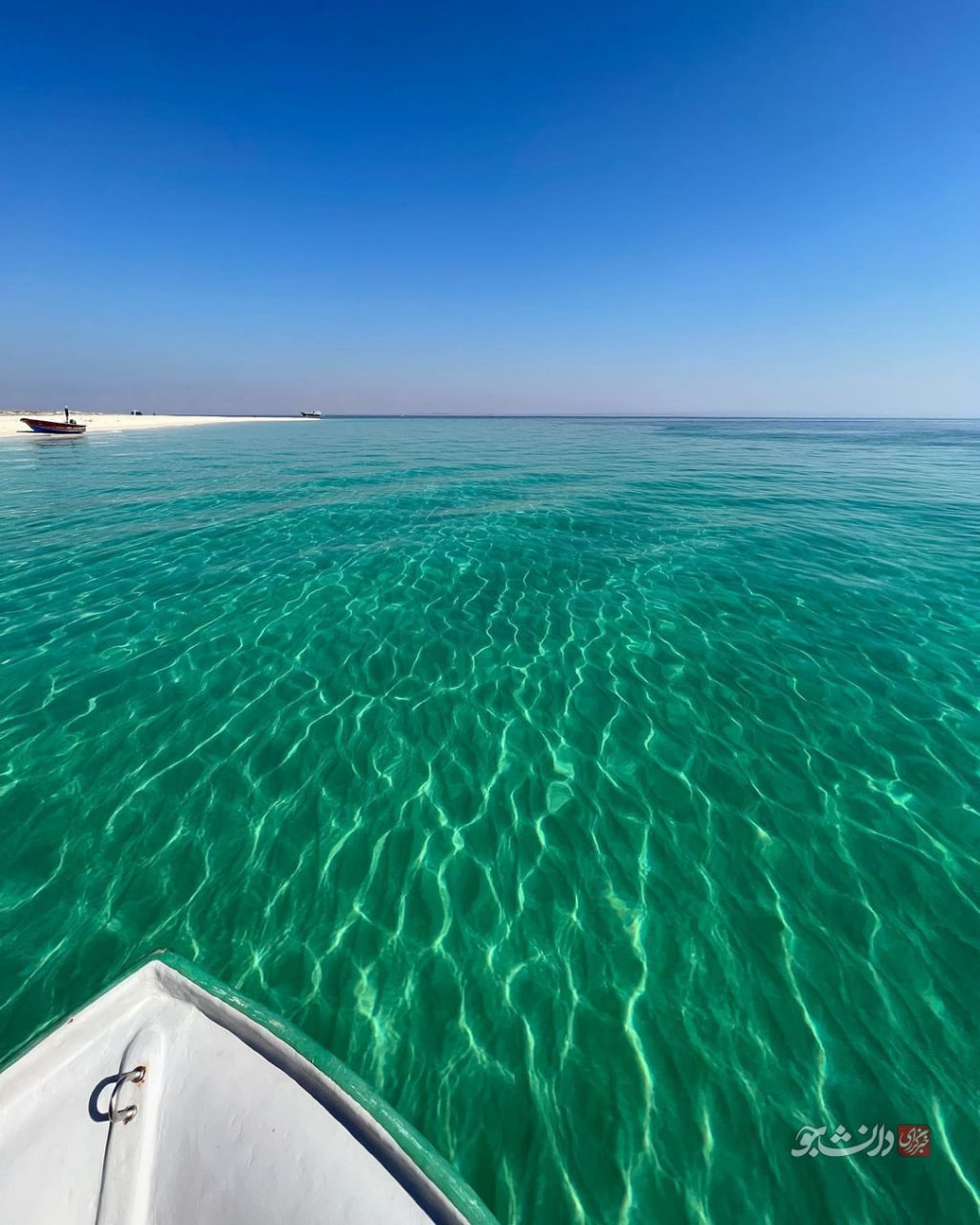 ساحل زیبای خلیج فارس + عکس