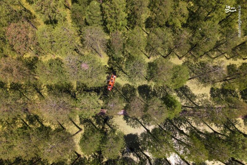 تصویر هوایی جالب از قایق سواری در جنگل + عکس