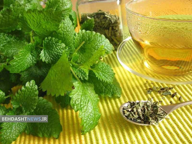 خواص درمانی بهترین گیاه برای اسپاسم معده و روده