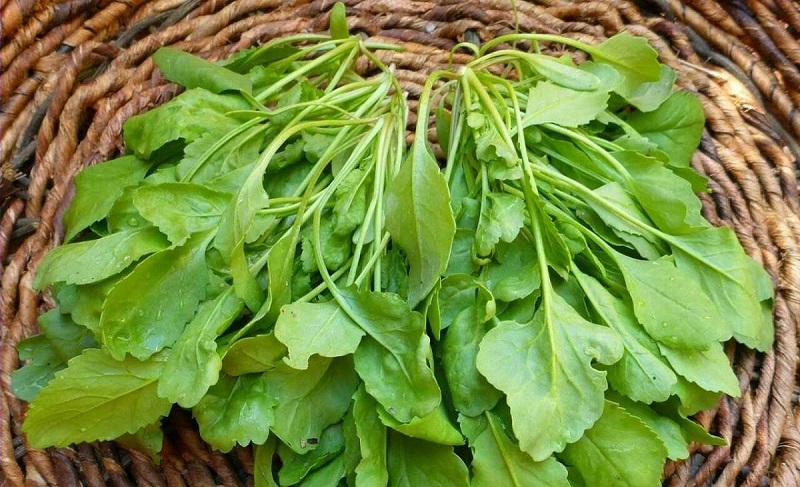 خواص دارویی شاهی که نمی‌دانید