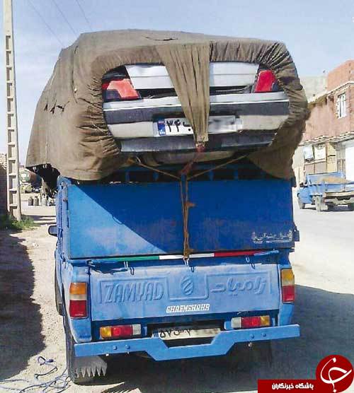 نیسان گردن‌کلفت + عکس 