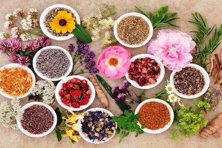 برگزاری کنفرانس علمی «فرآورده های گیاهی موثر بر پوست و مو»