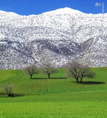 بهار و زمستان در یک قاب + عکس