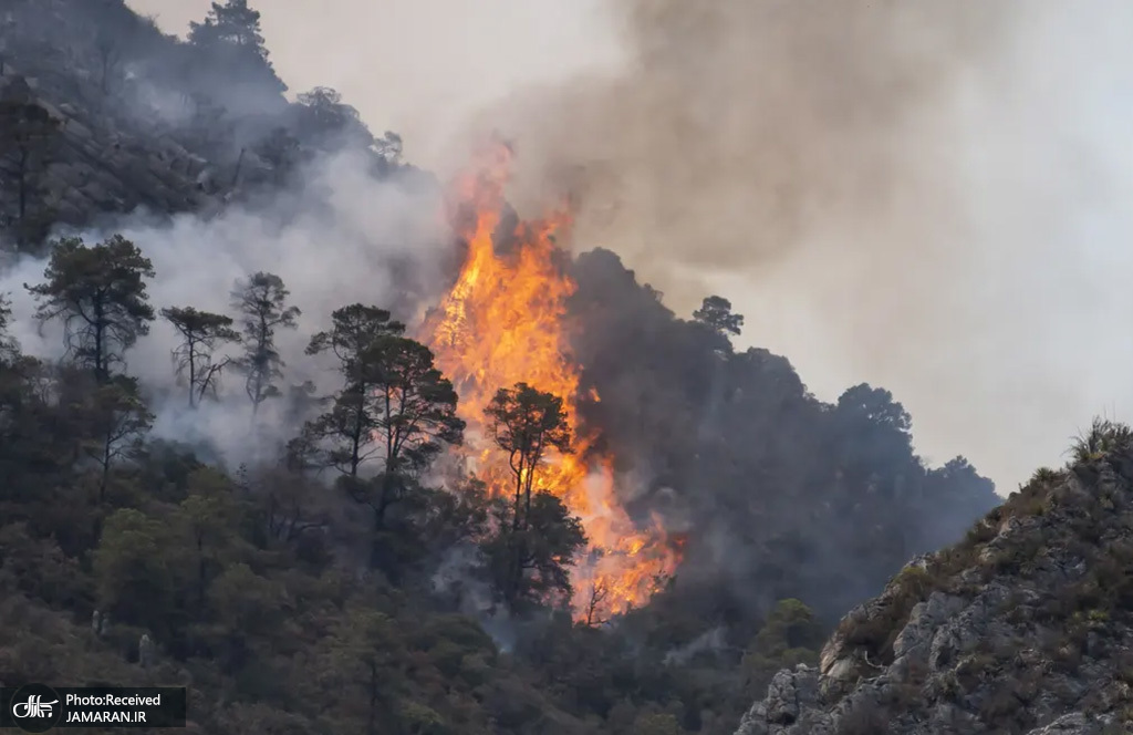 ادامه آتش سوزی در جنگل‌های مکزیک + عکس