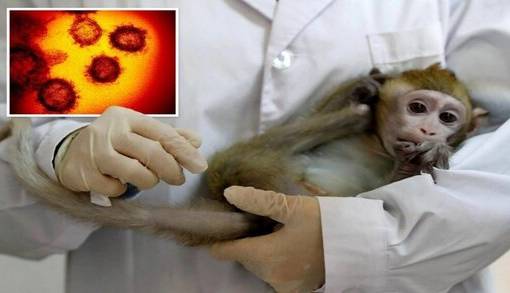 ماجرای مورد مشکوک به آبله میمون در ایران چه بود؟