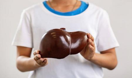 از کارهای مهم و حیاتی کبد در بدن چه می‌دانید؟