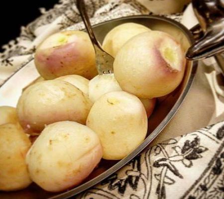 بهترین آنتی‌بیوتیک گیاهی 