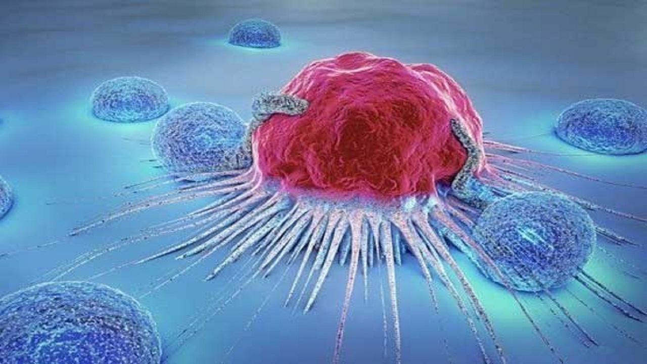 آزمایش موفق یک دارو در آمریکا: سلول‌های سرطانی در بدن همۀ بیماران ناپدید شدند