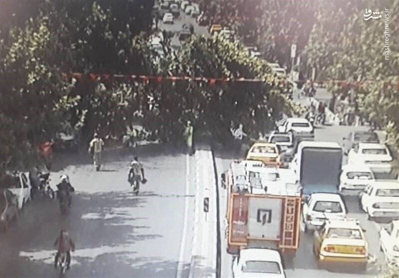 سقوط یک اصله درخت در خیابان شریعتی + عکس