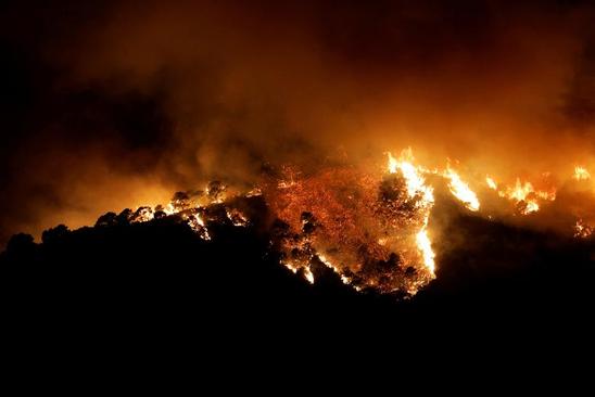 آتش سوزی جنگلی در اسپانیا + عکس