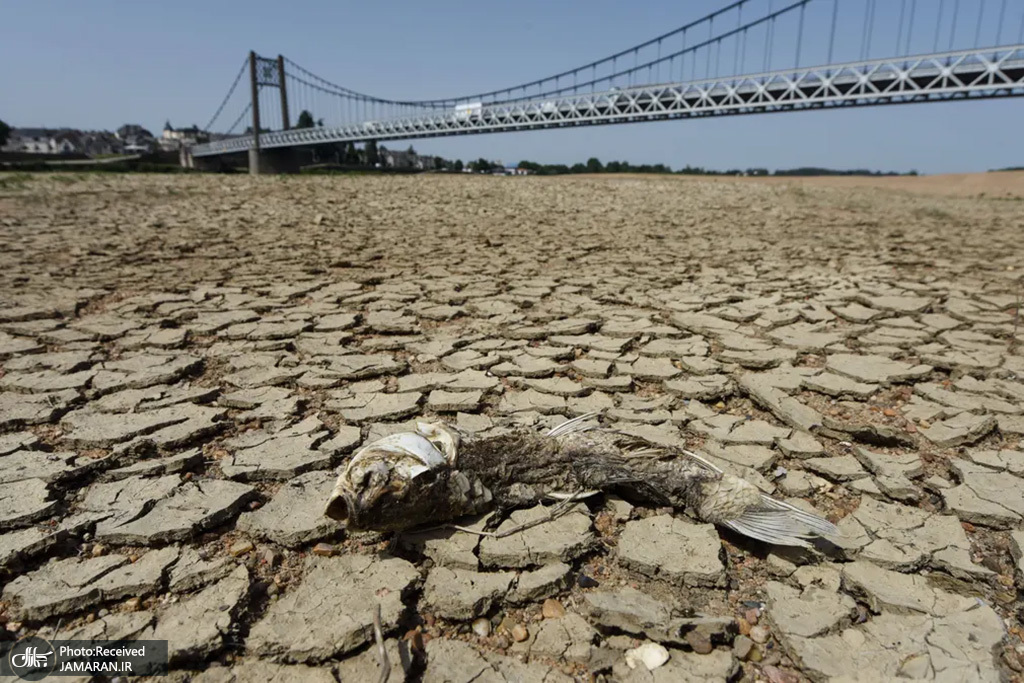 خشکسالی در طولانی‌ترین رود فرانسه + عکس