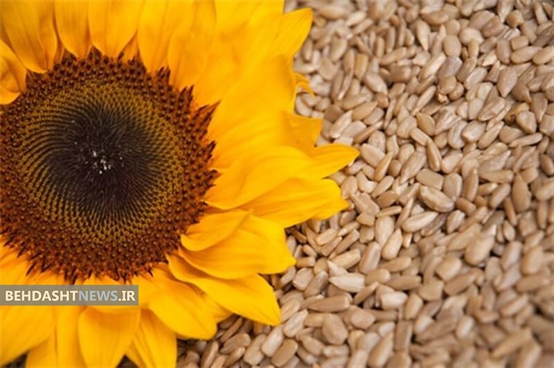 بهترین غذاها برای کم کردن چربی شکم