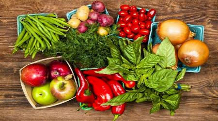 چه بخوریم که از گرد و غبار مصون بمانیم؟