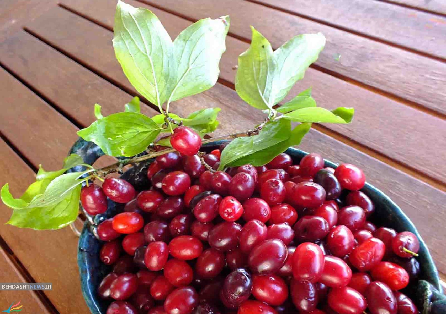 این خوراکی خوشمزه یک آنتی بیوتیک طبیعی است