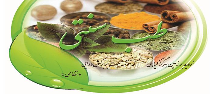توسعه دهکده‌های سلامتی و حمام‌های سنتی 