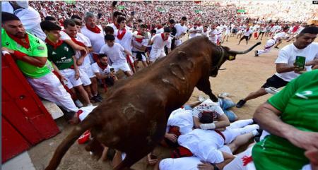 جشنواره گاوبازی در اسپانیا + عکس