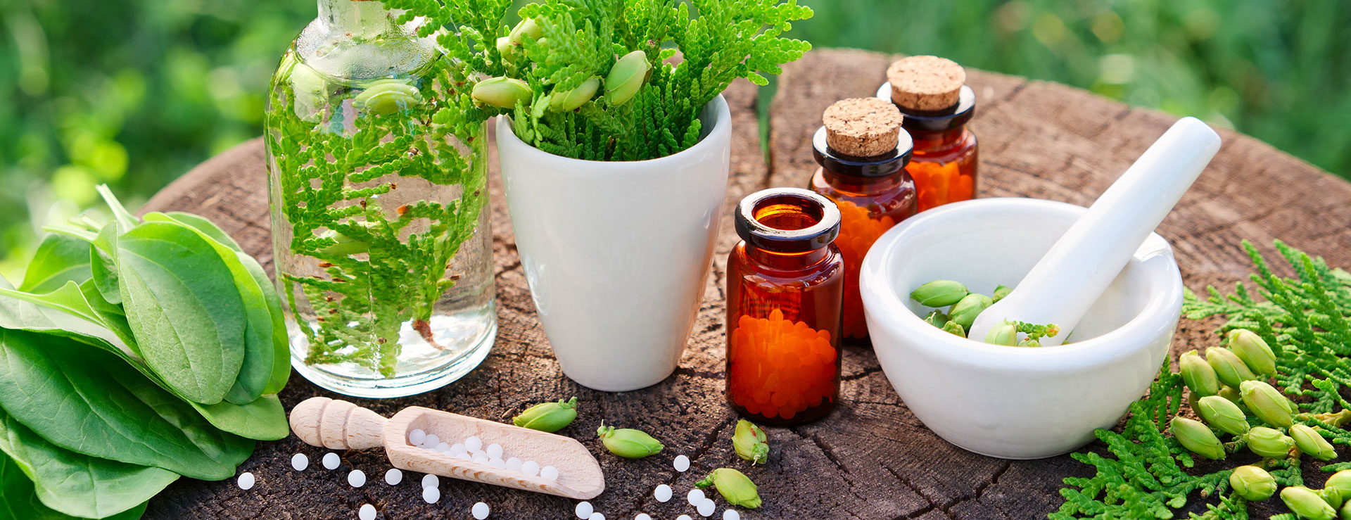 توسعه محصولات و خدمات طب سنتی