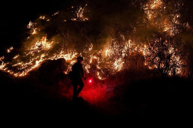 عملیات خاموش کردن آتش سوزی های جنگلی در کالیفرنیا + عکس