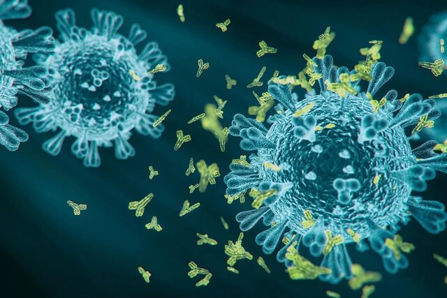 افزایش بستری بیماران کرونایی  برای دومین روز متوالی در این کشور