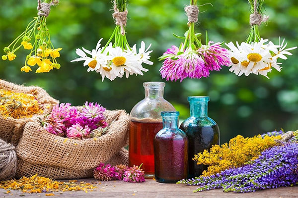 ضرورت تشکیل گروه طب ایرانی سنتی