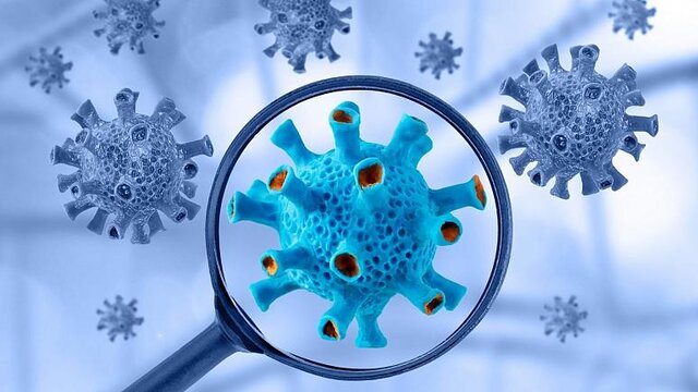 چرا برخی سلول های سیستم ایمنی، حال مبارزه با ویروس کرونا را ندارند؟