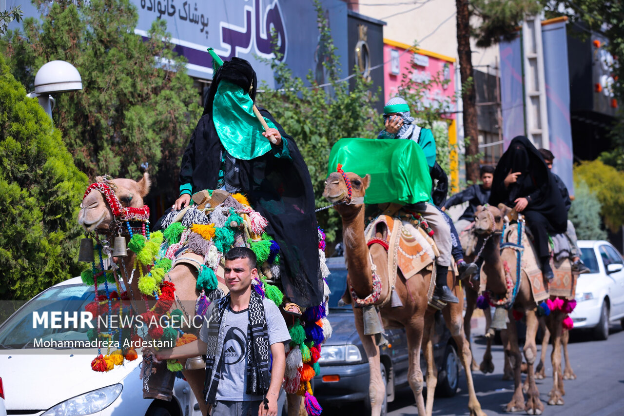 ورود نمادین کاروان امام حسین (ع) به کربلا + عکس