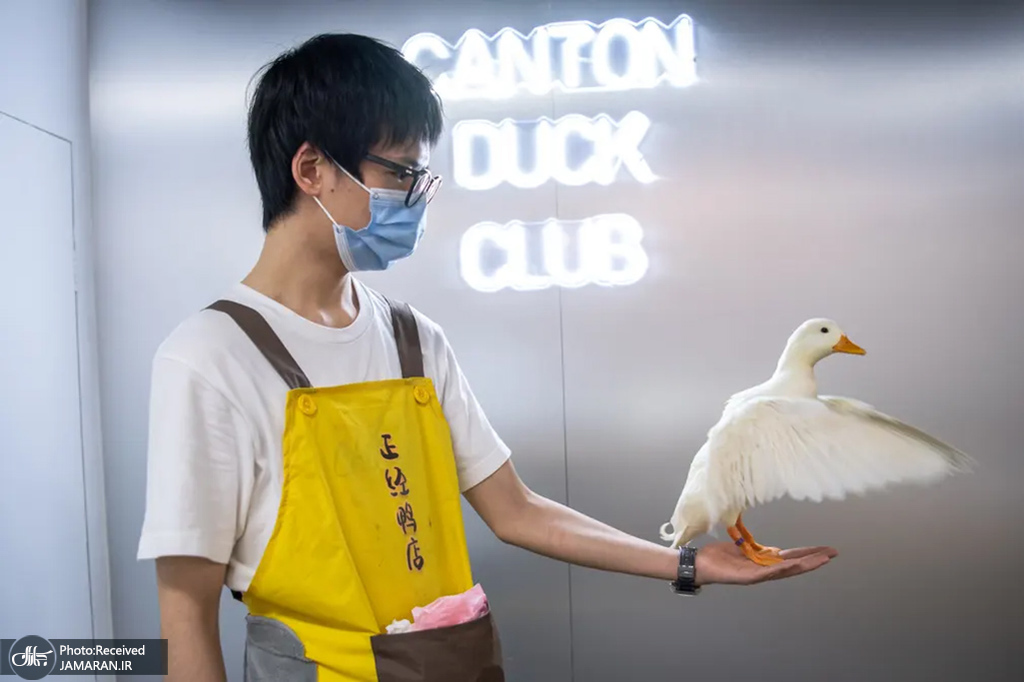 اولین فروشگاه اردک در چین! + عکس