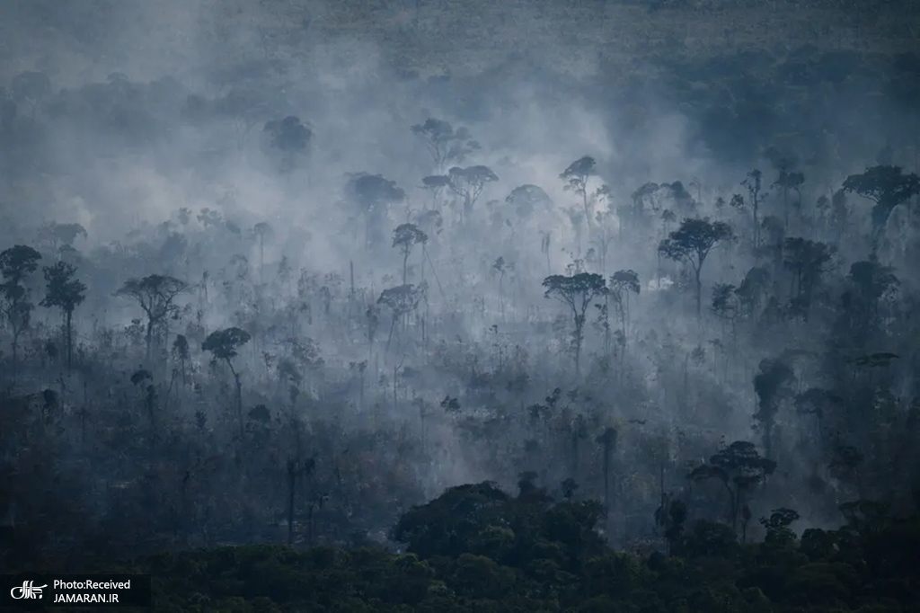 دود ناشی از آتش سوزی در جنگل آمازون + عکس