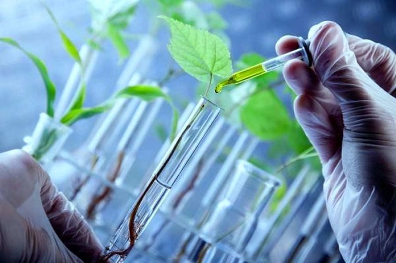 دستیابی به سهم 3 درصدی بازار جهانی محصولات زیست‌فناوری