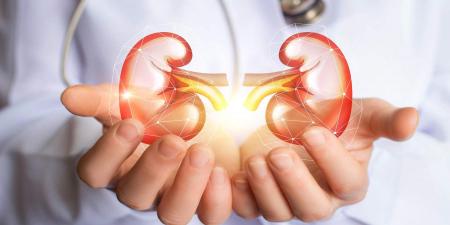 به خطر افتادن کلیه ها با این هورمون
